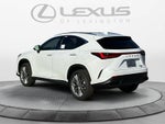 2026 Lexus NX 350 Luxury