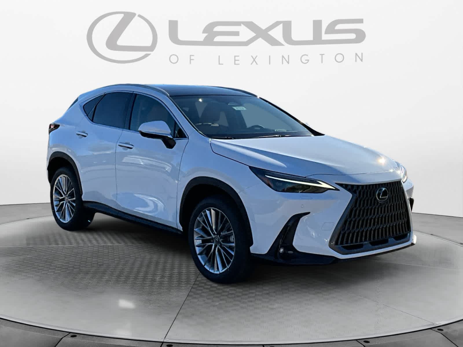 2026 Lexus NX 350 Luxury