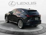 2026 Lexus NX 350 Luxury