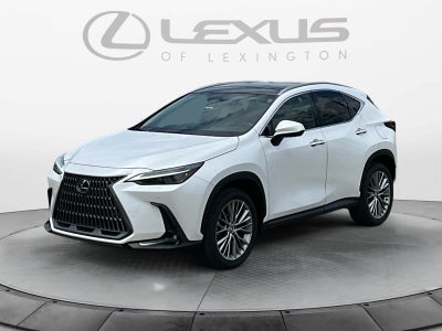 2024 Lexus NX 350 Luxury