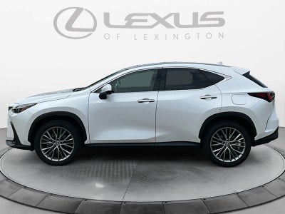 2024 Lexus NX 350 Luxury