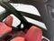 2024 Lexus NX 350 Luxury