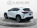 2024 Lexus NX 350 Luxury