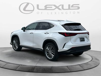 2024 Lexus NX 350 Luxury
