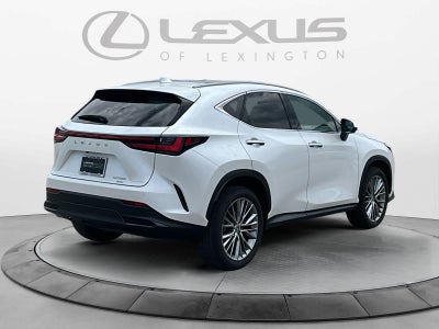 2024 Lexus NX 350 Luxury