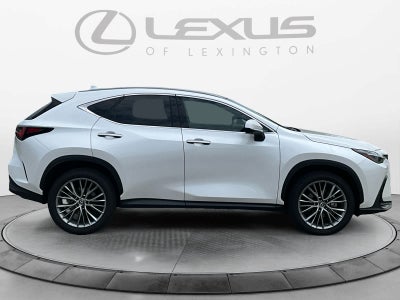 2024 Lexus NX 350 Luxury