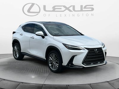 2024 Lexus NX 350 Luxury