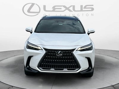 2024 Lexus NX 350 Luxury
