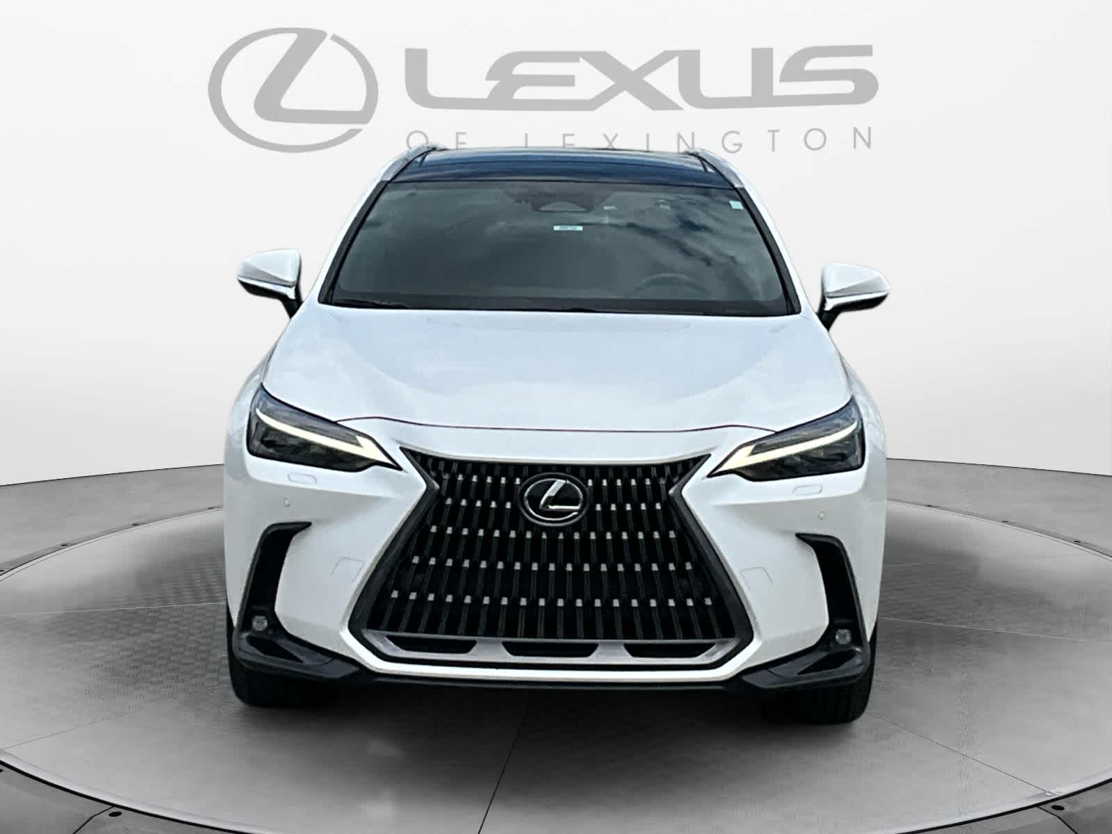 2024 Lexus NX 350 Luxury
