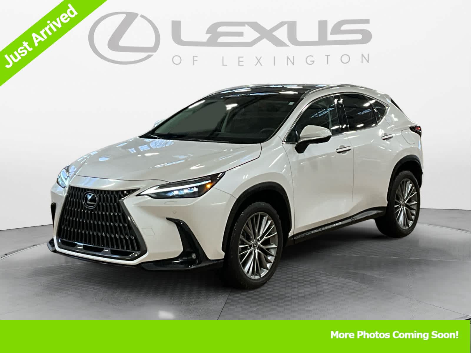 2024 Lexus NX Luxury