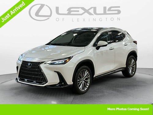 2024 Lexus NX Luxury