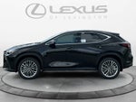 2026 Lexus NX 350 Luxury
