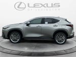 2026 Lexus NX 350 Luxury