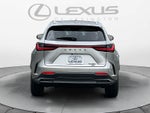 2026 Lexus NX 350 Luxury