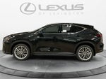 2026 Lexus NX 350 Luxury