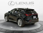 2026 Lexus NX 350 Luxury