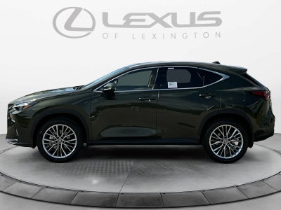 2026 Lexus NX 350 Luxury