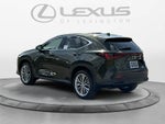 2026 Lexus NX 350 Luxury