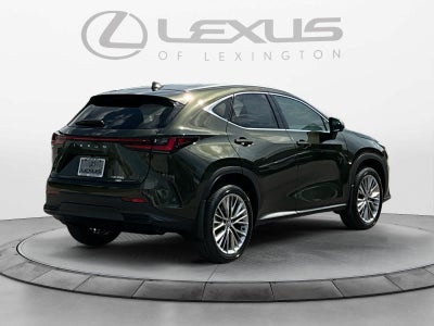 2026 Lexus NX 350 Luxury