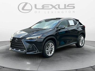 2023 Lexus NX Luxury