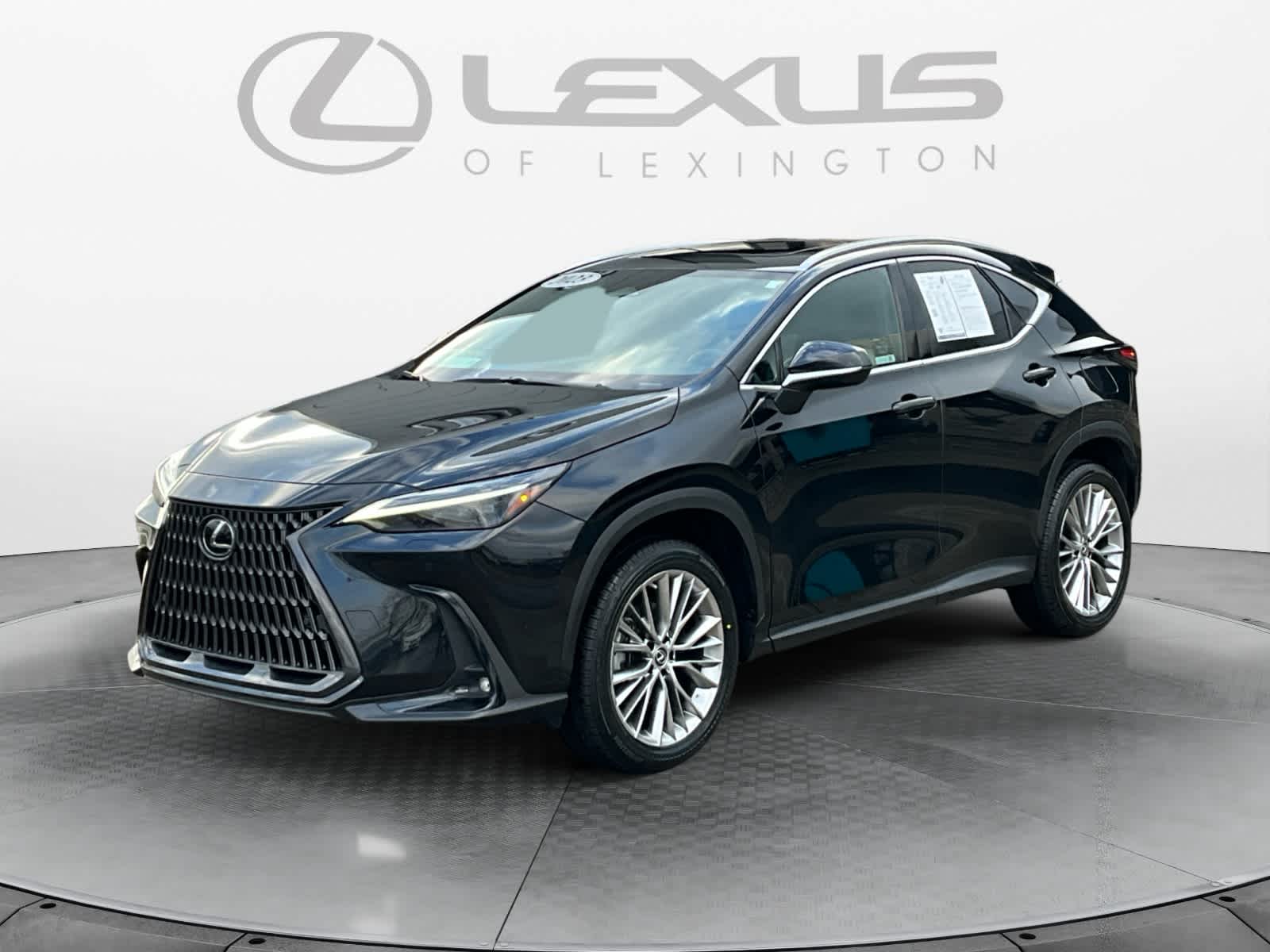 2023 Lexus NX Luxury