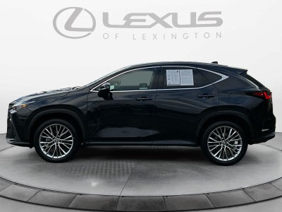 2023 Lexus NX Luxury