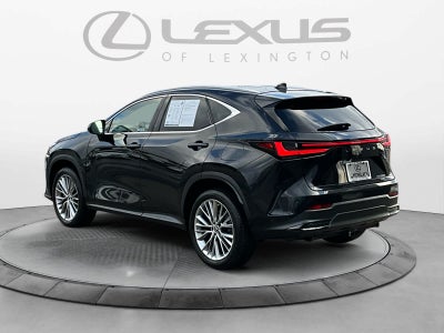 2023 Lexus NX Luxury