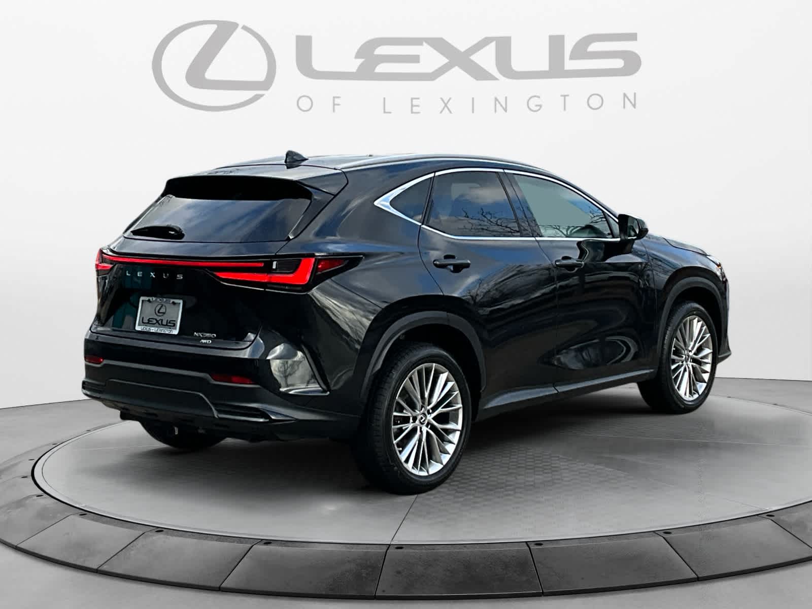 2023 Lexus NX Luxury