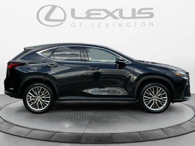 2023 Lexus NX Luxury