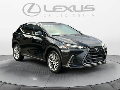 2023 Lexus NX Luxury