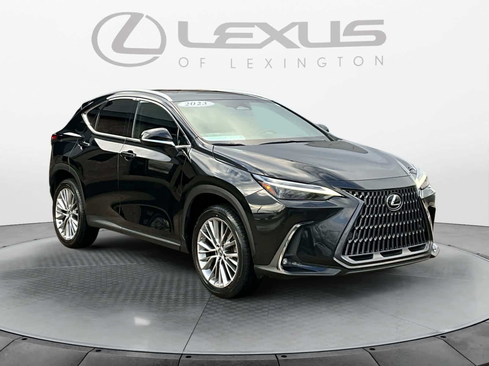 2023 Lexus NX Luxury