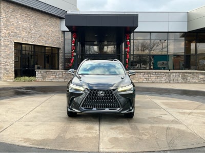 2023 Lexus NX Luxury