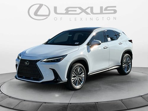 2026 Lexus NX 350 Luxury