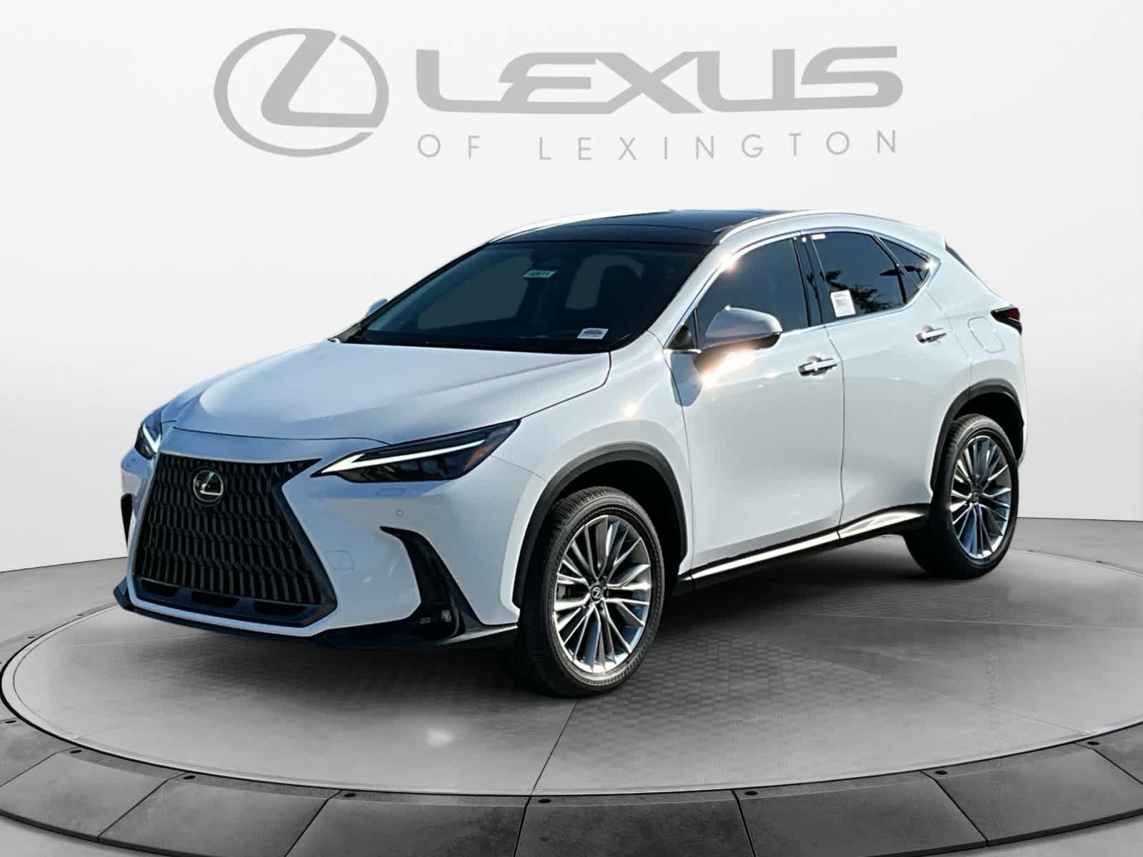 2026 Lexus NX 350 Luxury