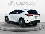 2026 Lexus NX 350 Luxury
