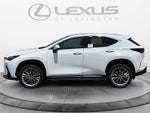 2026 Lexus NX 350 Luxury