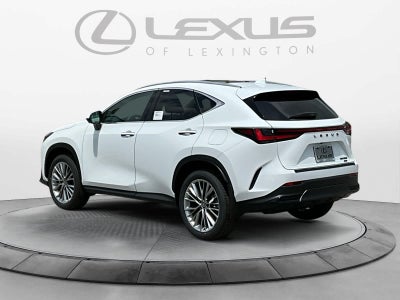 2026 Lexus NX 350 Luxury