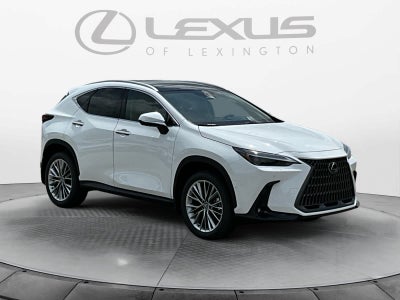 2026 Lexus NX 350 Luxury