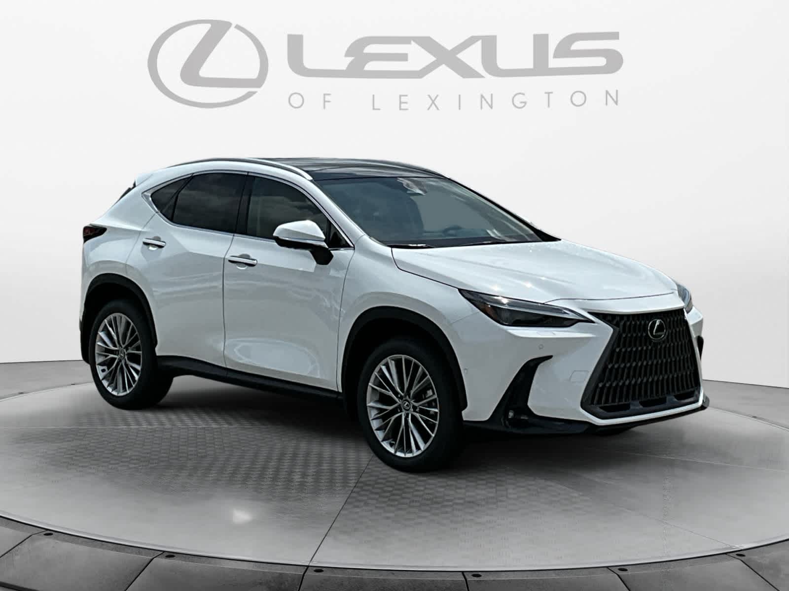 2026 Lexus NX 350 Luxury