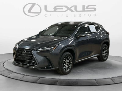 2024 Lexus NX 350h Luxury