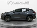 2024 Lexus NX 350h Luxury