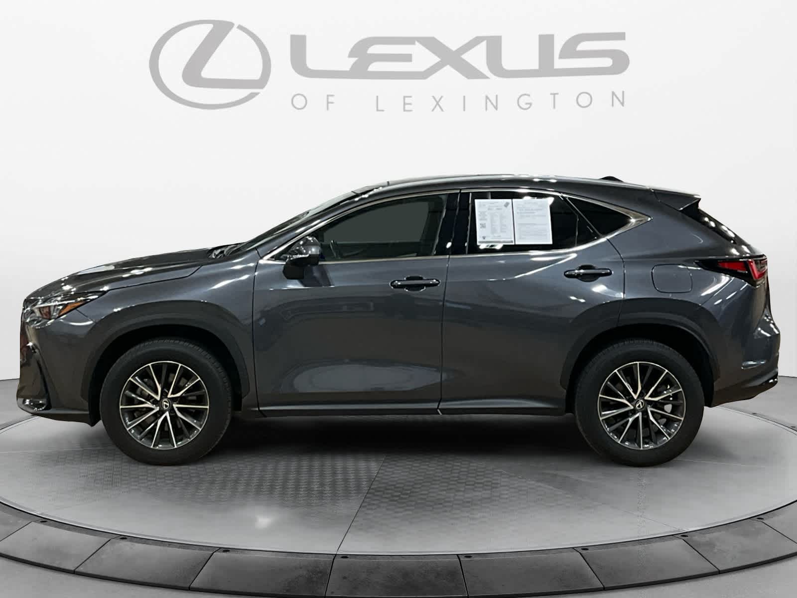 2024 Lexus NX 350h Luxury