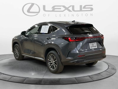 2024 Lexus NX 350h Luxury