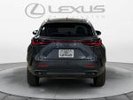 2024 Lexus NX 350h Luxury