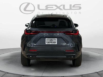 2024 Lexus NX 350h Luxury