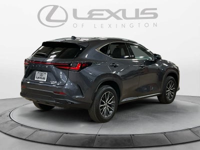2024 Lexus NX 350h Luxury