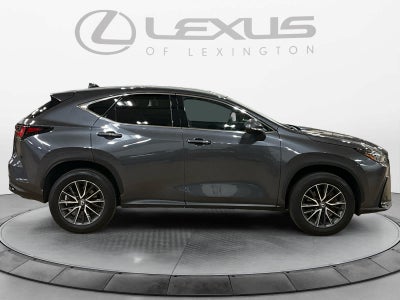 2024 Lexus NX 350h Luxury