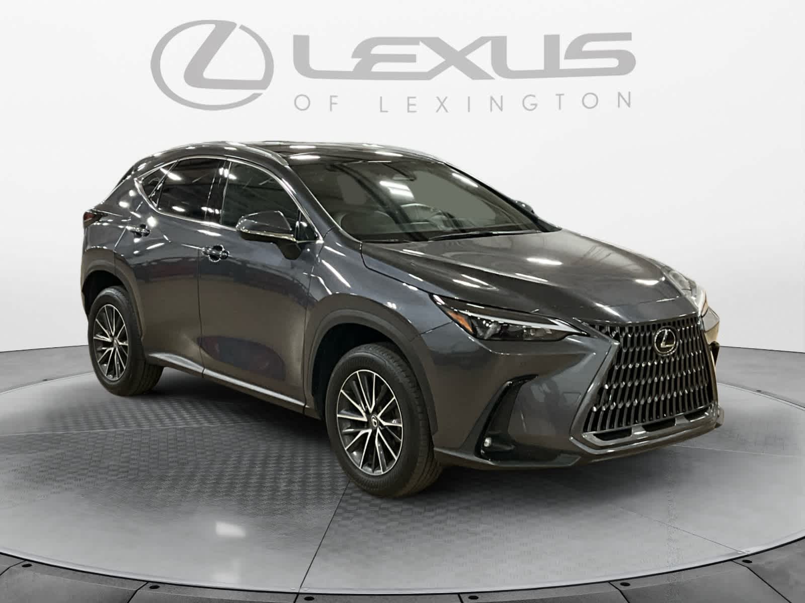 2024 Lexus NX 350h Luxury