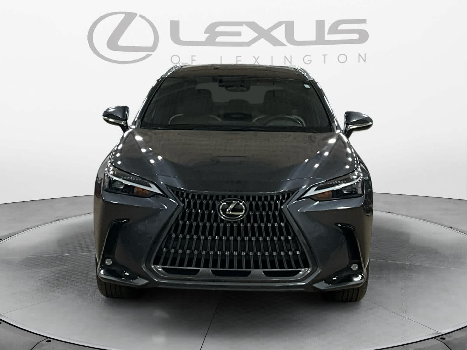 2024 Lexus NX 350h Luxury