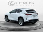 2026 Lexus NX 350h Luxury